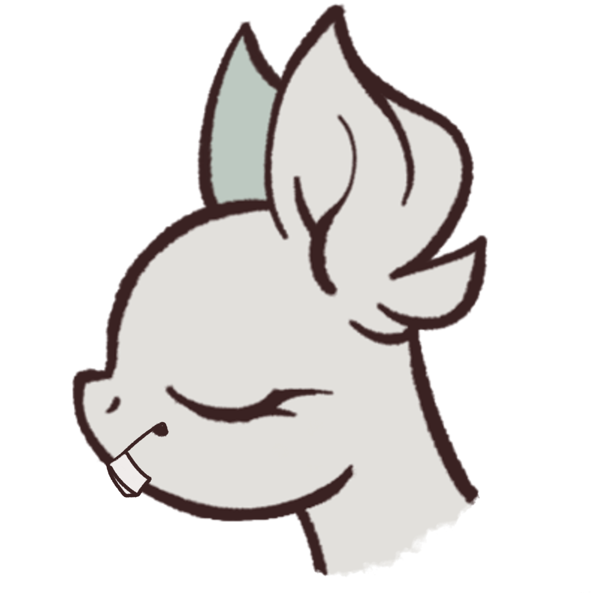 Rabbit Teeth