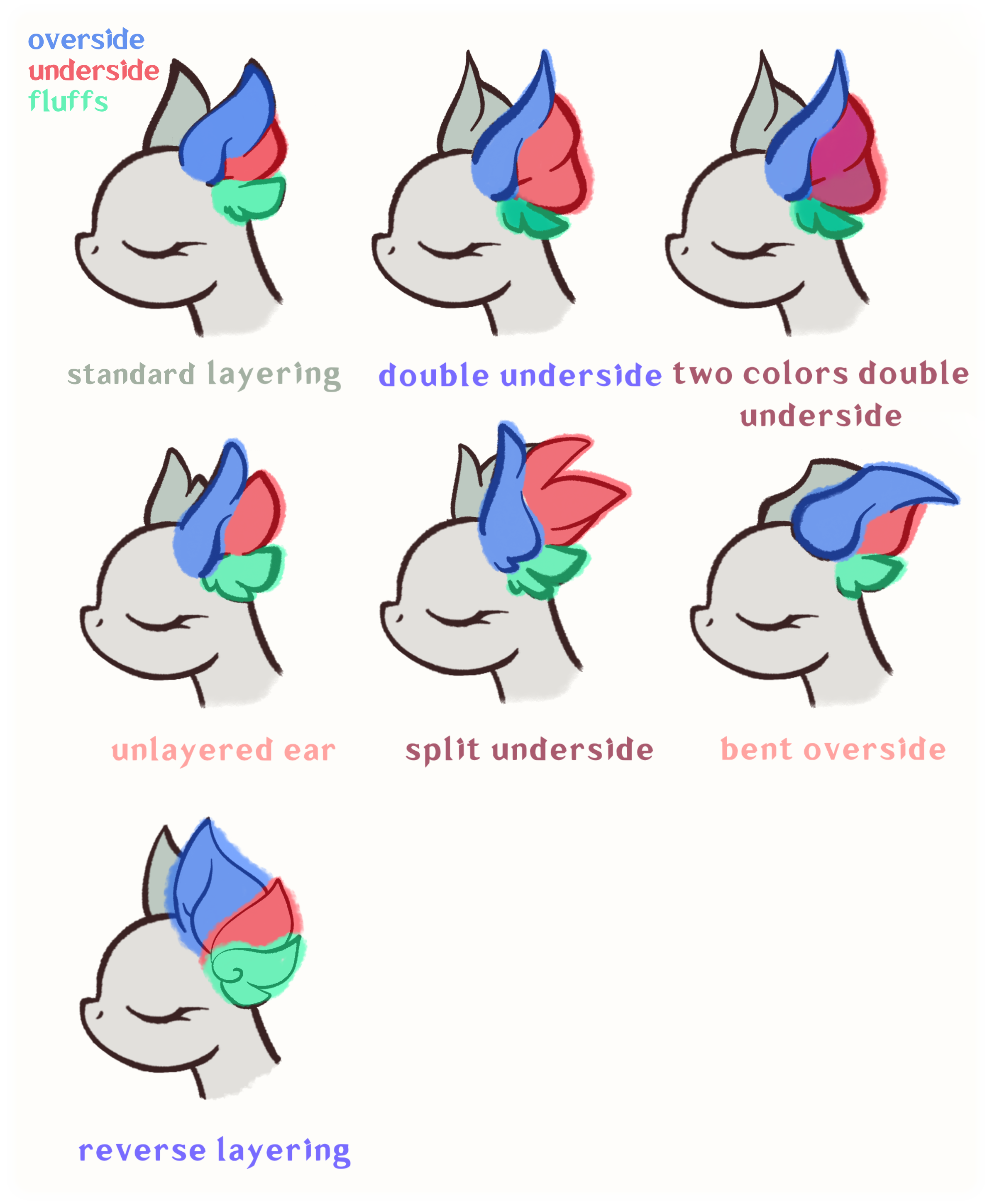 Ear layers