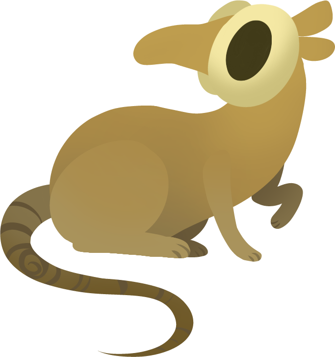 Kurshum