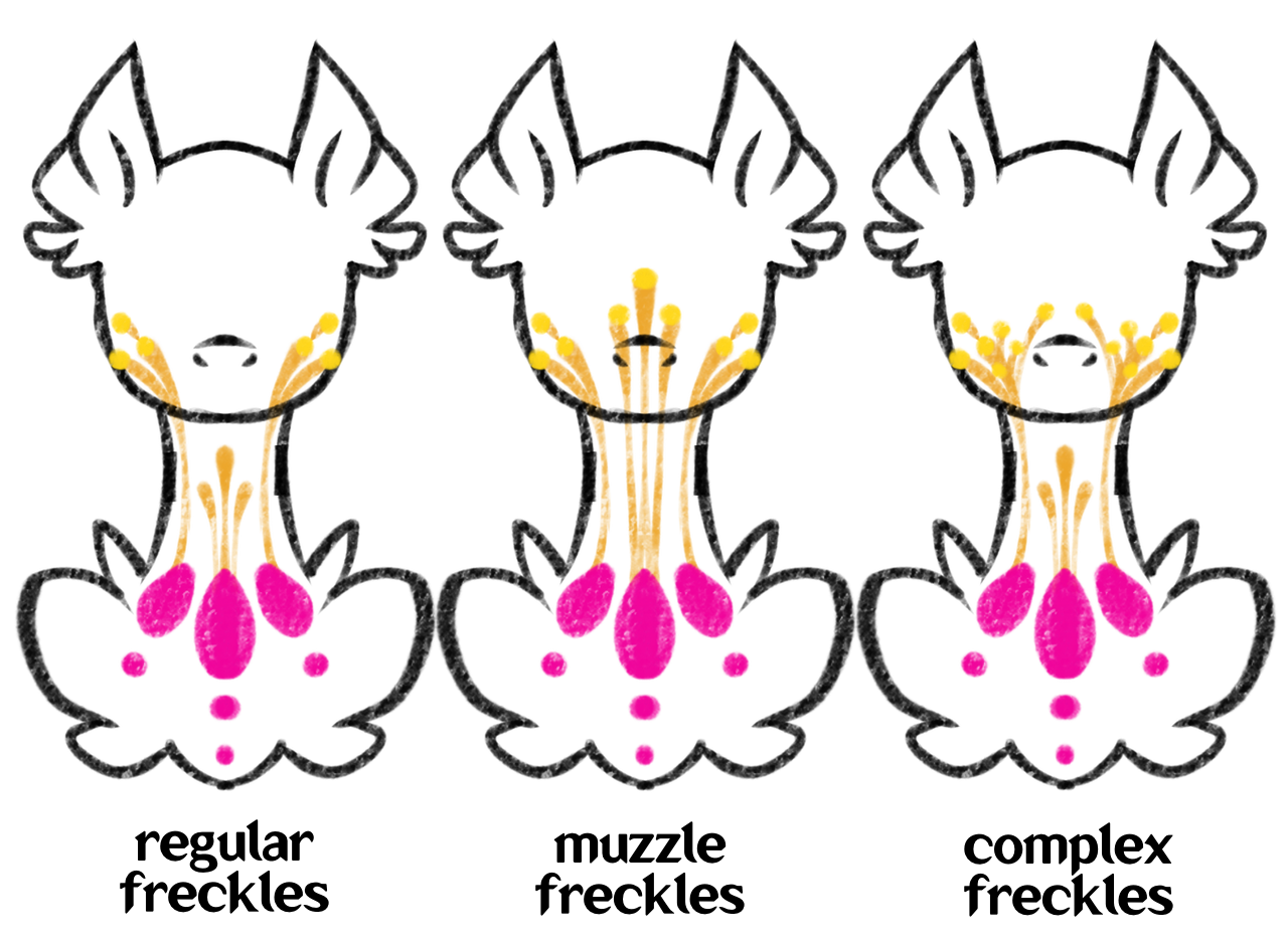 Grifix Magic Apparatus Anatomy #2